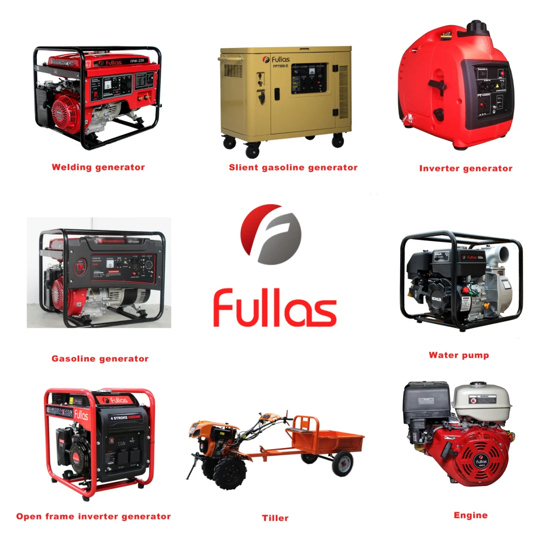FPW-250 Welding Gasoline Generator Powered by FP190F